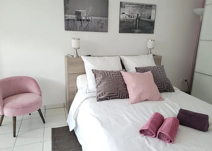 Coquet En Medoc, Jacuzzi Et Climatisation Lejlighed